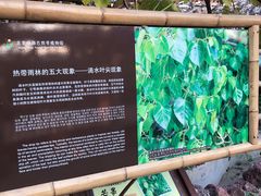 -呀路古热带植物园