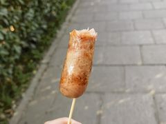 -上海共青森林公园