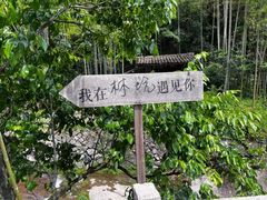 -林坑古村落