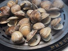 -天鹰观渔(梦园店)