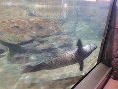 -福州罗源湾海洋世界旅游区