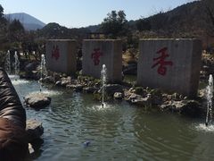 -香雪海