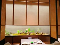 -许家菜(DT51店)
