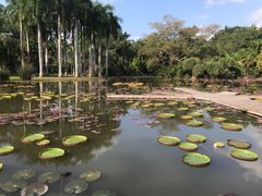 -中国科学院西双版纳热带植物园