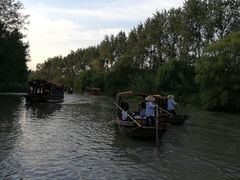 景点-溱湖国家湿地公园