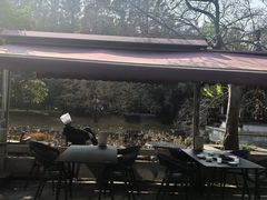 -金蔷薇·湖景庭院餐厅(环湖店)