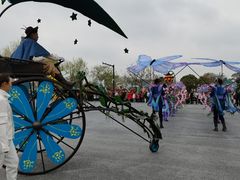 -荷兰花海