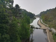 -广州市帽峰山景区