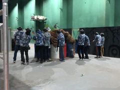 -319集结地真人CS·团建·轰趴馆(城外诚店)