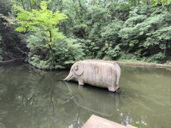 -紫霞湖公园