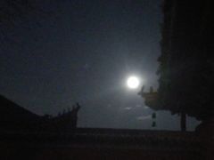 -真庆观