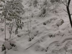 -太阳湾风景区