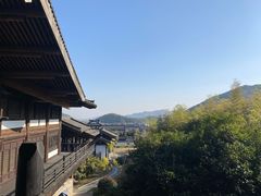 -大唐贡茶院