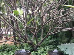 -厦门日月谷温泉渡假村