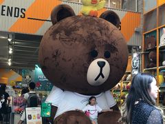 -line friends(明洞旗舰店)