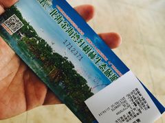 -北海金海湾红树林生态旅游区