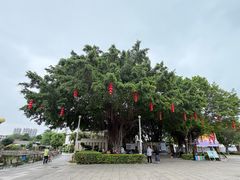 -石炮台公园