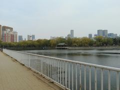 -沈阳南湖公园