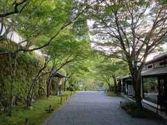 -三千院