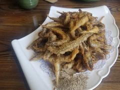 -鲁前海沿儿