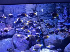 -成都浩海立方海洋公园