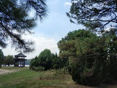 -东湖落雁景区