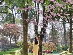 -南山植物园