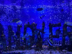 -太平洋海底世界