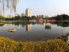 -映月湖公园