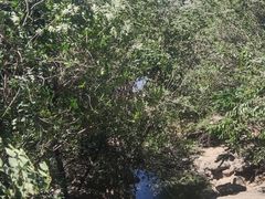 -门城湖公园