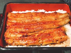 -うなぎ つきじ宮川本廛(伊势丹新宿店)