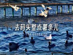 -洱海月湿地公园