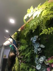 -北京炫美医疗美容