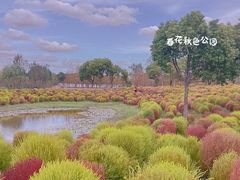 -春花秋色城市公园