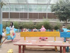 -西部长青自然儿童乐园