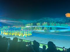 -鼎盛王朝康熙大典实景演出