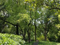 -徐家汇源景区-衡山公园
