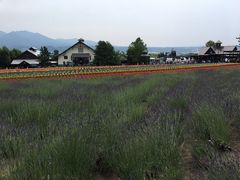 -富田农场