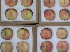 -老袁家蜜桃农场·阳山水蜜桃