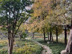 -广富林郊野公园