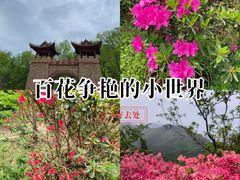 -木兰云雾山