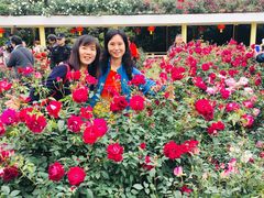 -人民公园(罗湖区)