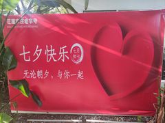 -芭厘·农庄老字号.电饭煲五指毛桃焗鸡