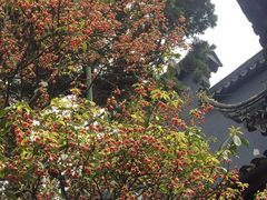 -东山雕花楼