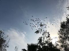 -普陀山风景名胜区-千步大沙