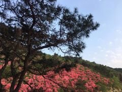 -木兰云雾山
