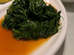 -天福苑(崇宁路店)