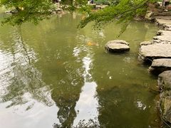 -杭州植物园