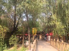 -微山湖红荷湿地景区