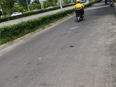 -近春园遗址
